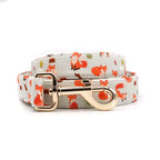 Fox Hollow Dog Collar and Leash Set