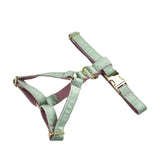 Harness