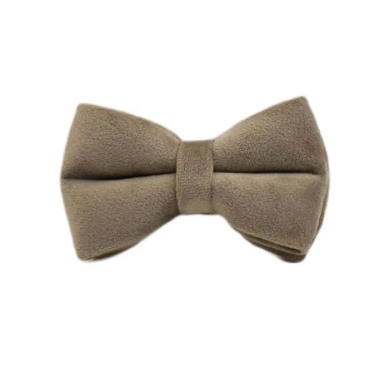 Light grey Velvet Personalized Dog Collar, Leash & Harness Set