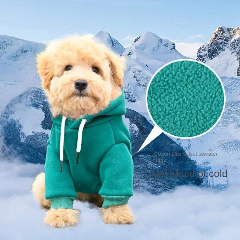 Cotton Fleece Dog Hoodie – Warm Sweatshirt for Small & Medium Dogs