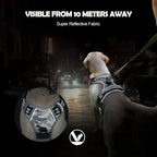 Reflective No-Pull Dog Harness – Easy Walking Training Harness with Handle