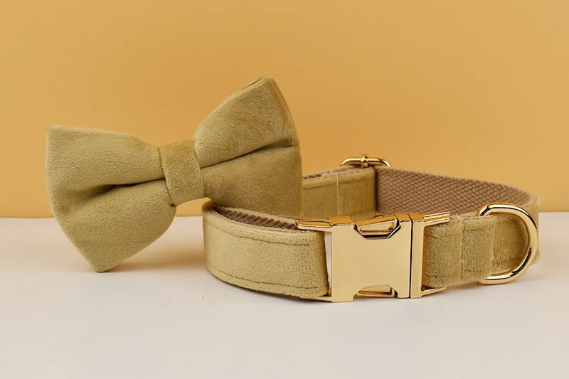 Nude Velvet Personalized Dog Collar, Leash & Harness Set