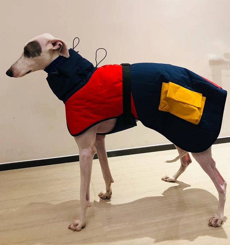 Waterproof Thick Cotton Dog Jacket – Super Warm Winter Coat for All Breeds