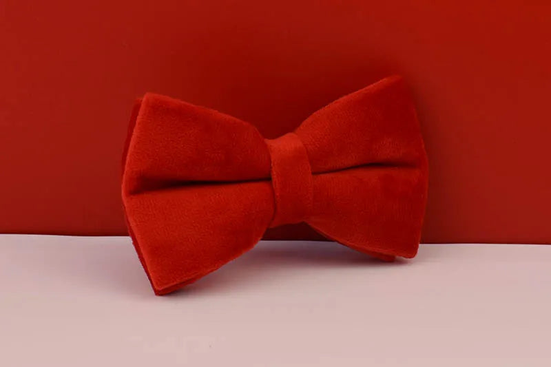 Red Velvet Personalized Dog Collar, Leash & Harness Set