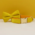 High Quality Dog Collar & Leash Set – Personalized Engraved Nameplate, Padded