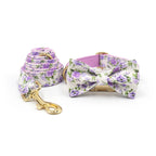 Summer Fruit Personalized Dog Bowtie Collar and Leash Set, Custom Laser Pet Necklace, Cute Pet Accessory