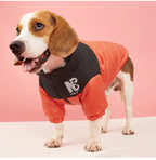 Winter Warm Dog Jacket | Thick, Windproof Coat