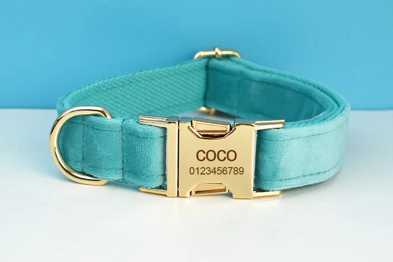Turquoise Stone Velvet Personalized Dog Collar, Leash & Harness Set