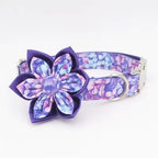 Purple Floral Dog Collar and Leash Set