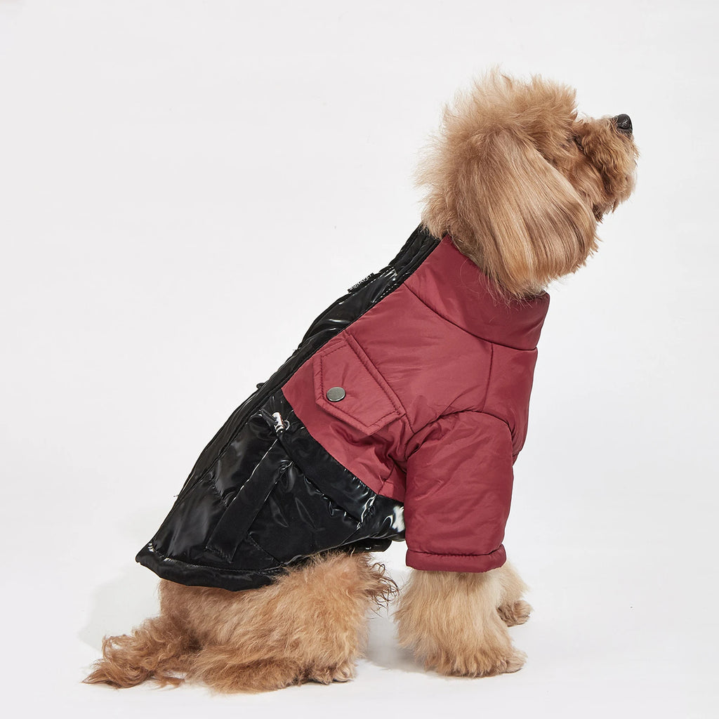 Winter Dog Jacket – Windproof, Cold-Resistant Coat for Small & Medium Dogs