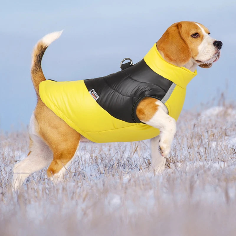 Waterproof Winter Dog Vest – Warm, Padded Coat for Small & Large Breeds
