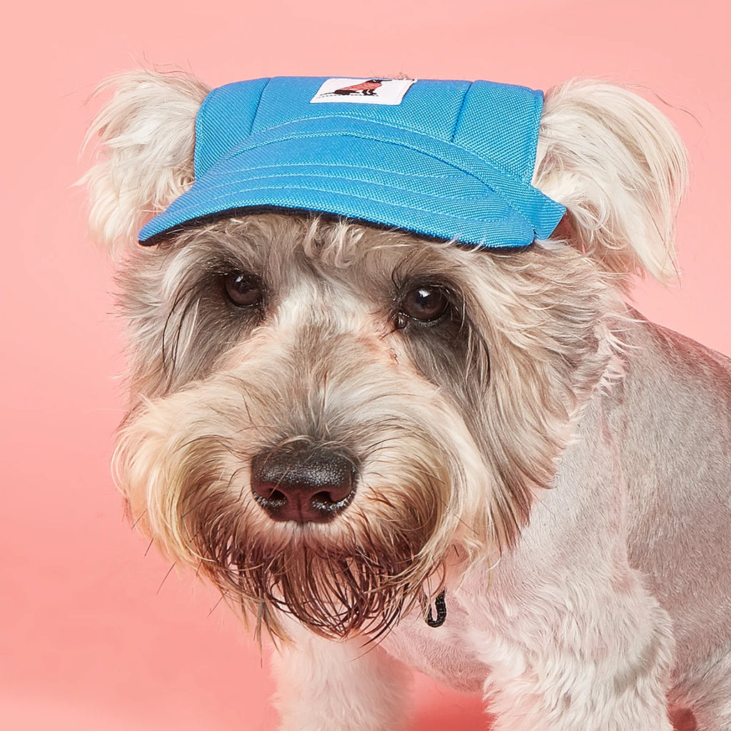 Dog Sun Hat – Adjustable Canvas Baseball Cap for Small & Medium Dogs