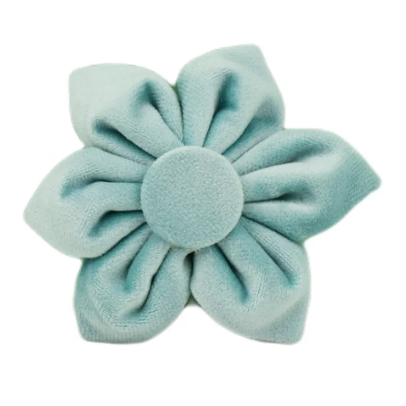 Green Velvet Personalized Dog Collar, Leash & Harness Set