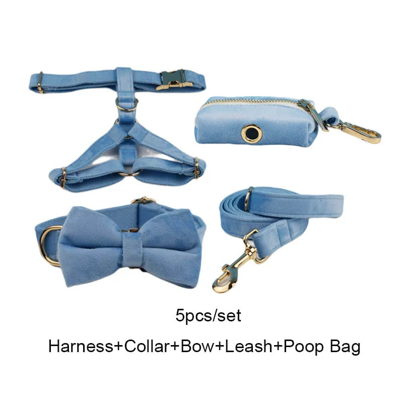 Blue Velvet Personalized Dog Collar, Leash & Harness Set