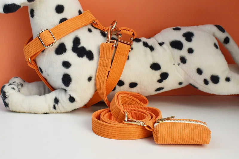 Orange Corduroy Personalized Dog Collar, Leash & Harness Set