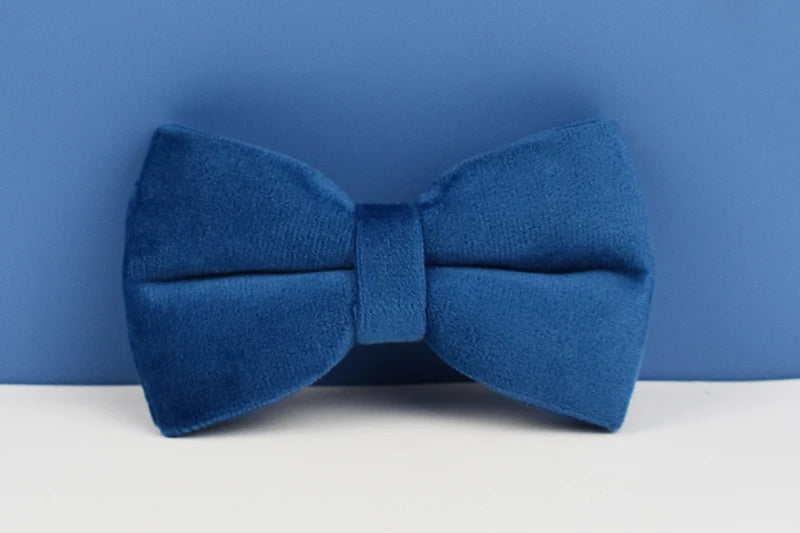 Blue Velvet Personalized Dog Collar, Leash & Harness Set