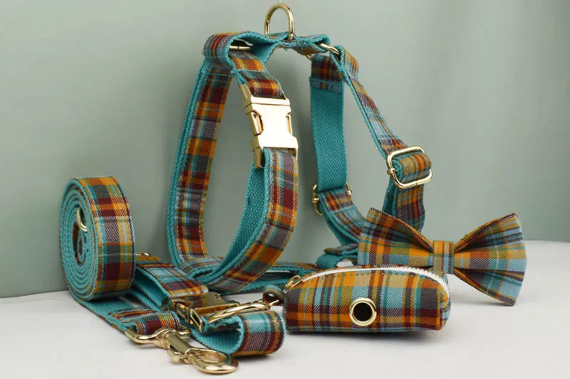 Grid Personalized Dog Collar, Leash & Harness Set