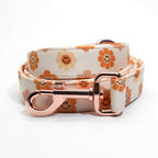 Designed Autumn Dot Dog Vest Set