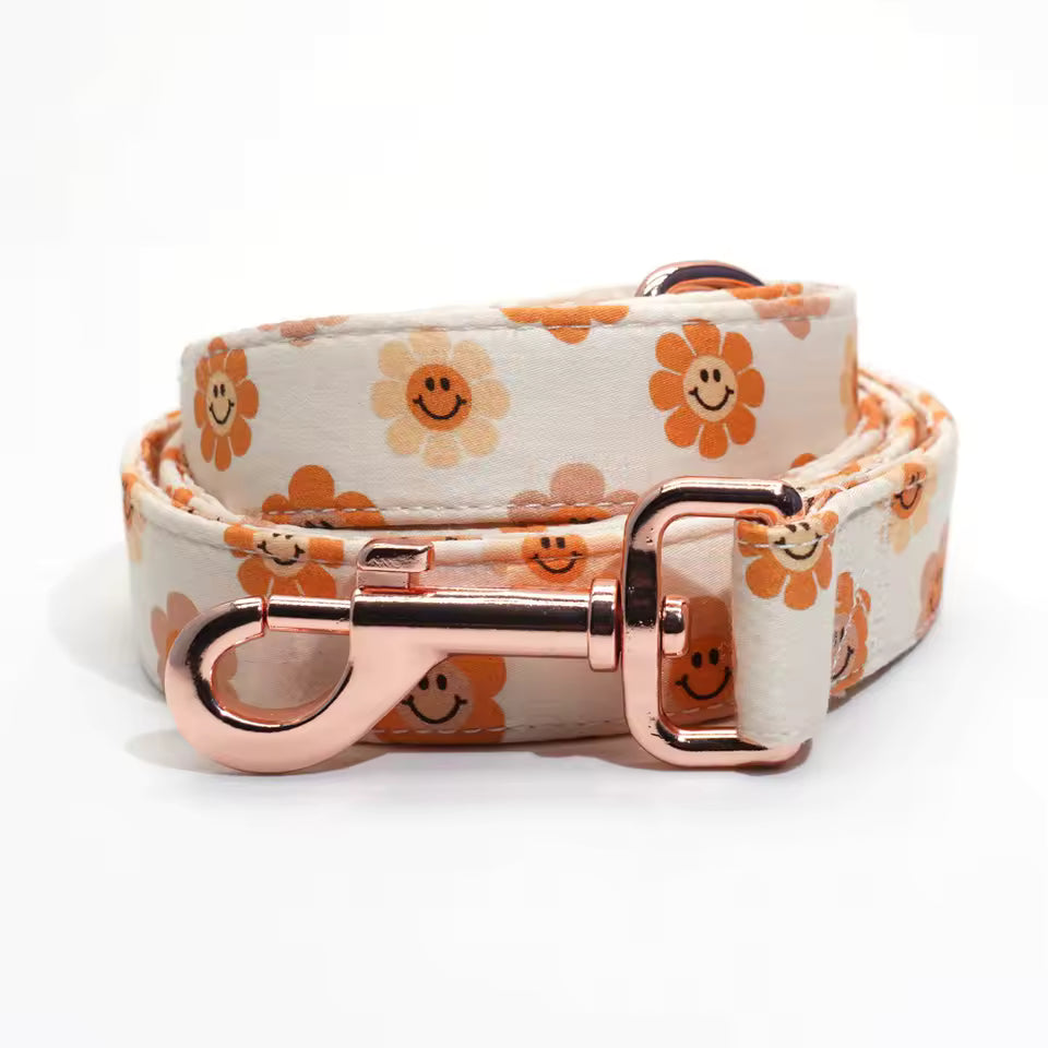 Designed Autumn Dot Dog Vest Set