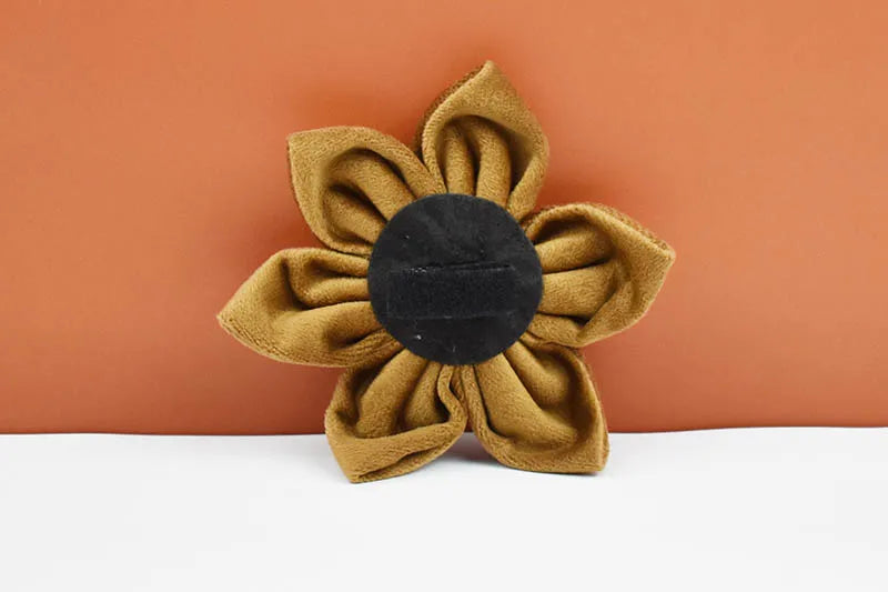 Light Coffee Color Velvet Personalized Dog Collar, Leash & Harness Set