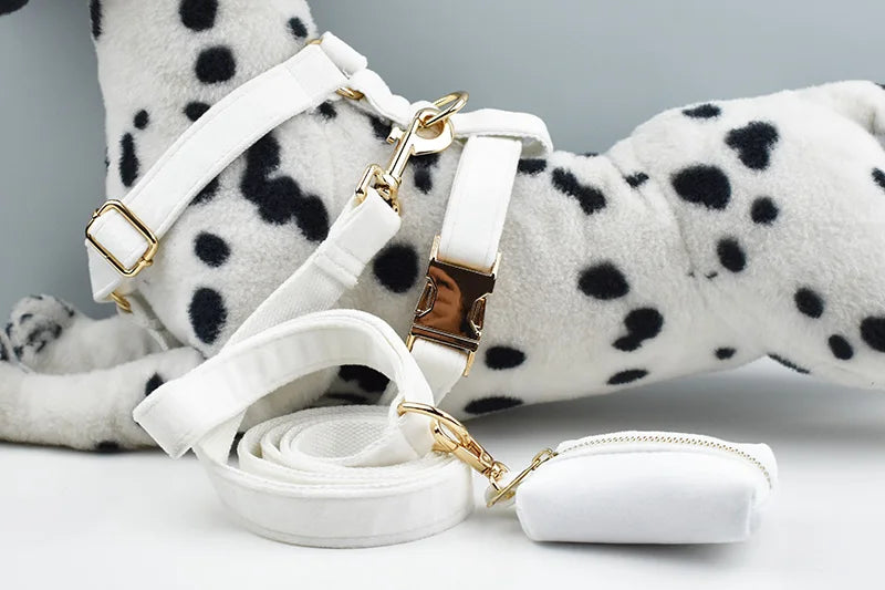 White Velvet Personalized Dog Collar, Leash & Harness Set