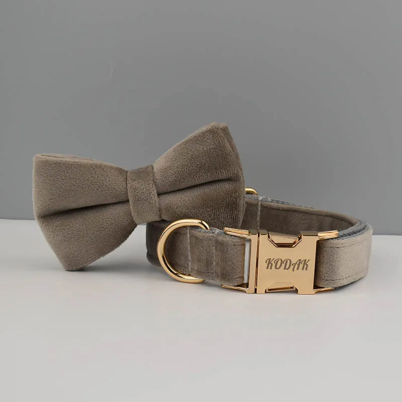 High Quality Dog Collar & Leash Set – Personalized Engraved Nameplate, Padded