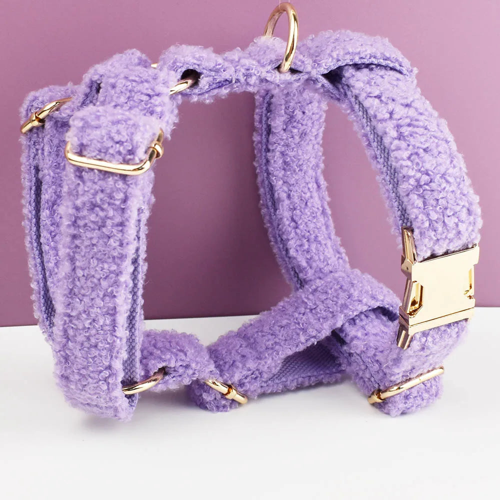 Teddy Velvet Personalized Dog Collar, Leash & Harness Set