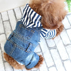 Denim Dog Jumpsuit – Classic Blue Jean Hoodie for Small & Medium Dogs