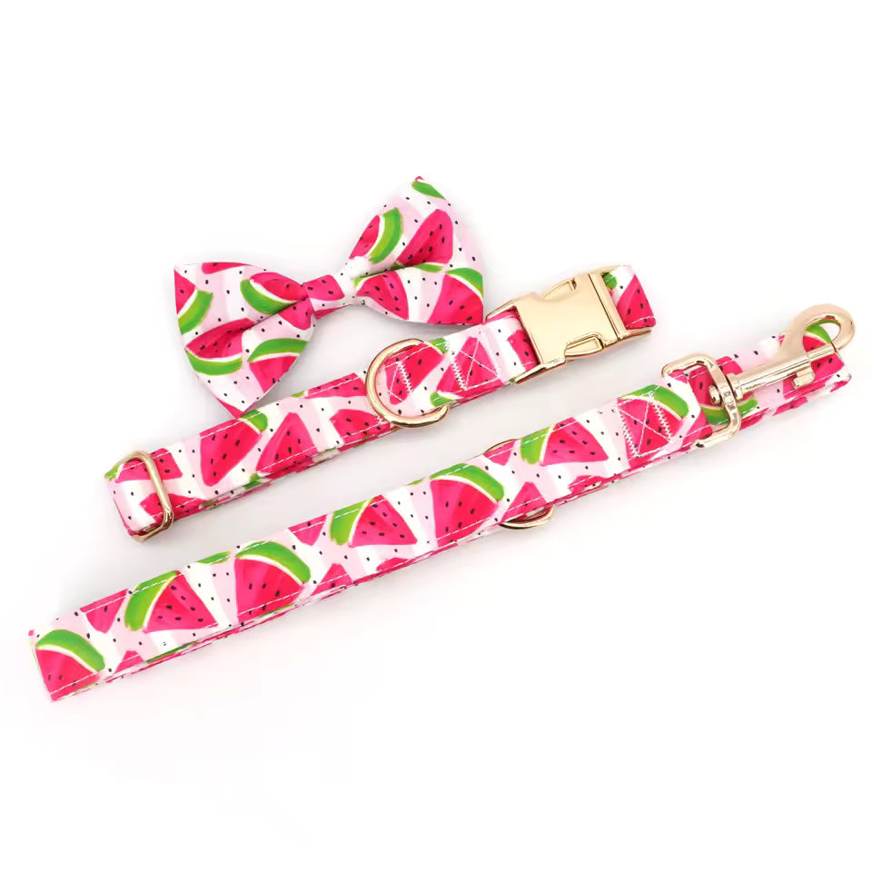 Watermelon Dog Collar and Leash Set