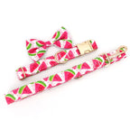 Watermelon Dog Collar and Leash Set