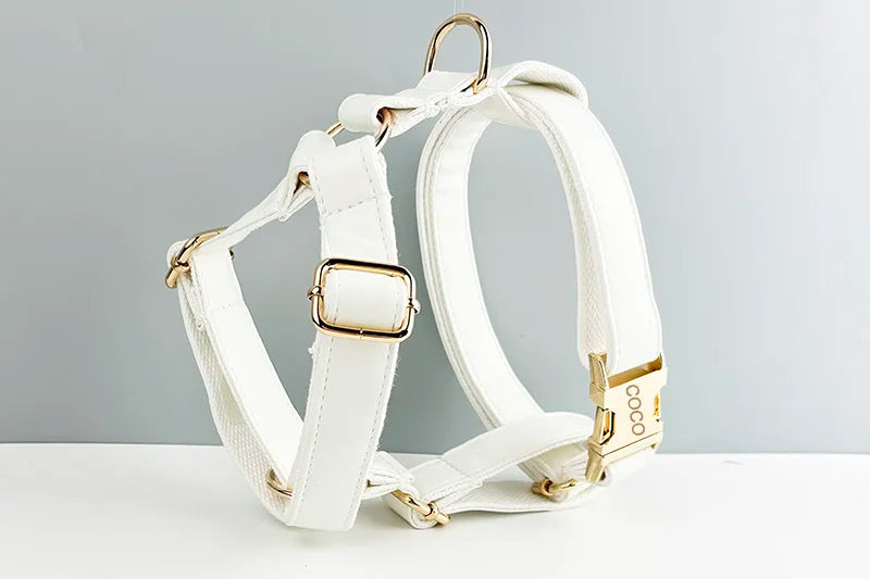 White Leather Personalized Dog Collar, Leash & Harness Set