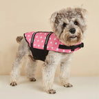 Reflective Dog Life Jacket – Adjustable Buoyancy Vest for Swimming, Boating & Surfing (All Sizes)