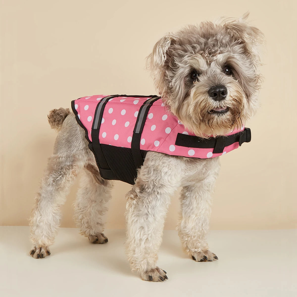 Reflective Dog Life Jacket – Adjustable Buoyancy Vest for Swimming, Boating & Surfing (All Sizes)