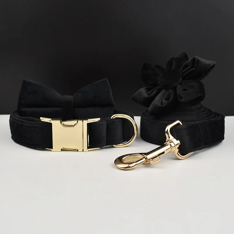 Black Velvet Personalized Dog Collar, Leash & Harness Set