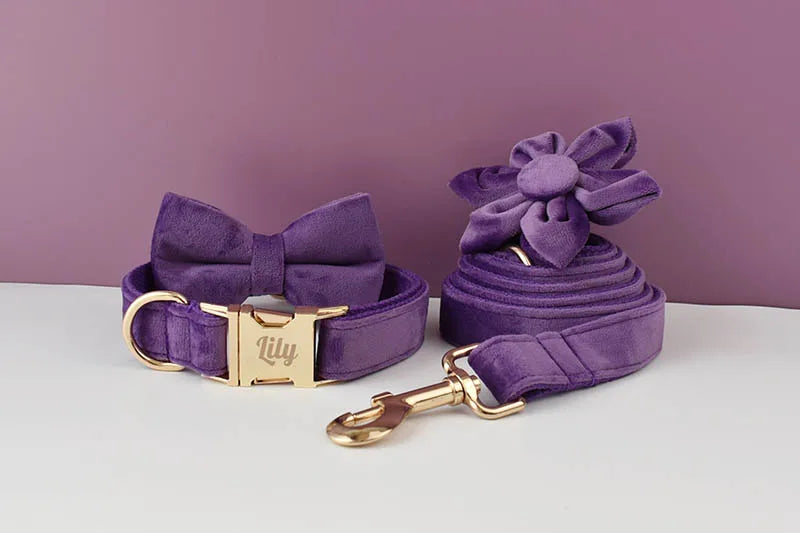Purple Velvet Personalized Dog Collar, Leash & Harness Set