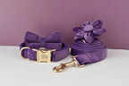 Purple Velvet Personalized Dog Collar, Leash & Harness Set