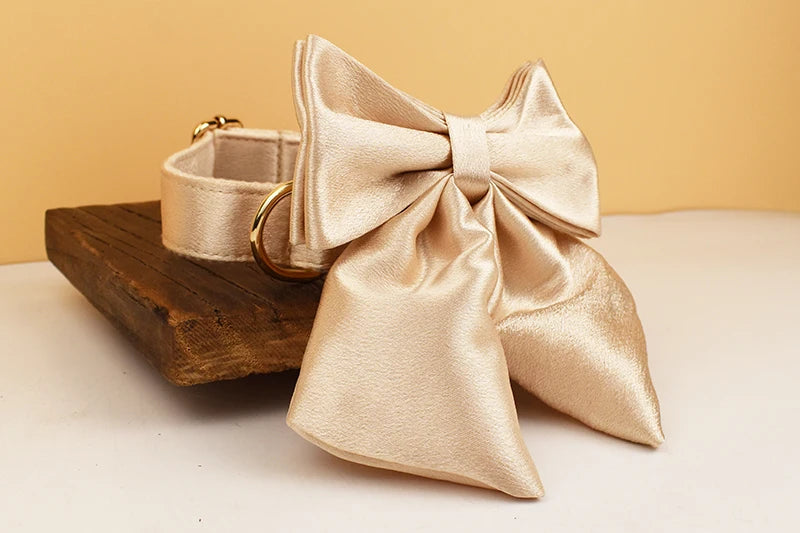 Personalized Dog Collar, Leash & Harness Set