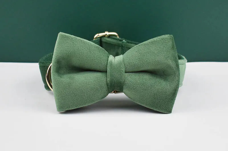 Forest Green Velvet Personalized Dog Collar, Leash & Harness Set