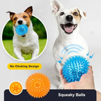 Squeaky Spiky Dog Ball – Durable Chew Toy for Teething Puppies & Aggressive Chewers