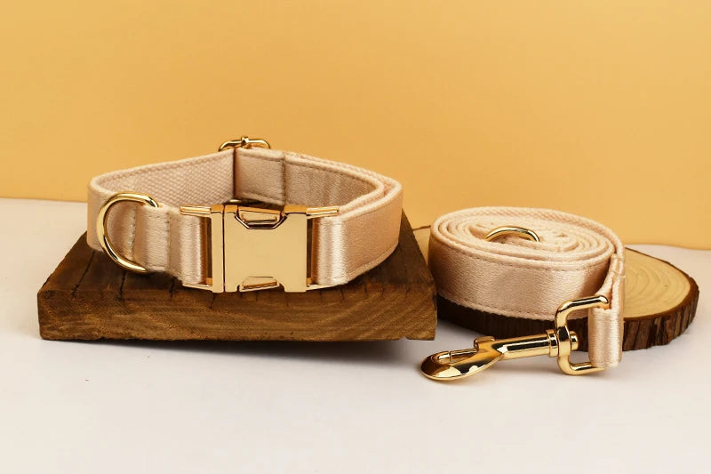 Personalized Dog Collar, Leash & Harness Set