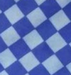 Designed Blue Caro Dog Vest Set