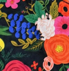 Designed Midnight Floral Dog Vest Set