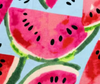 Designed Watermelon Dog Vest Set