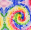 Designed Rainbow Twirl Floral Dog Vest Set
