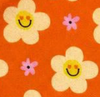 Designed Happy Daisy Floral Dog Vest Set