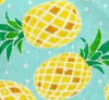 Designed Pineapple Dog Vest Set
