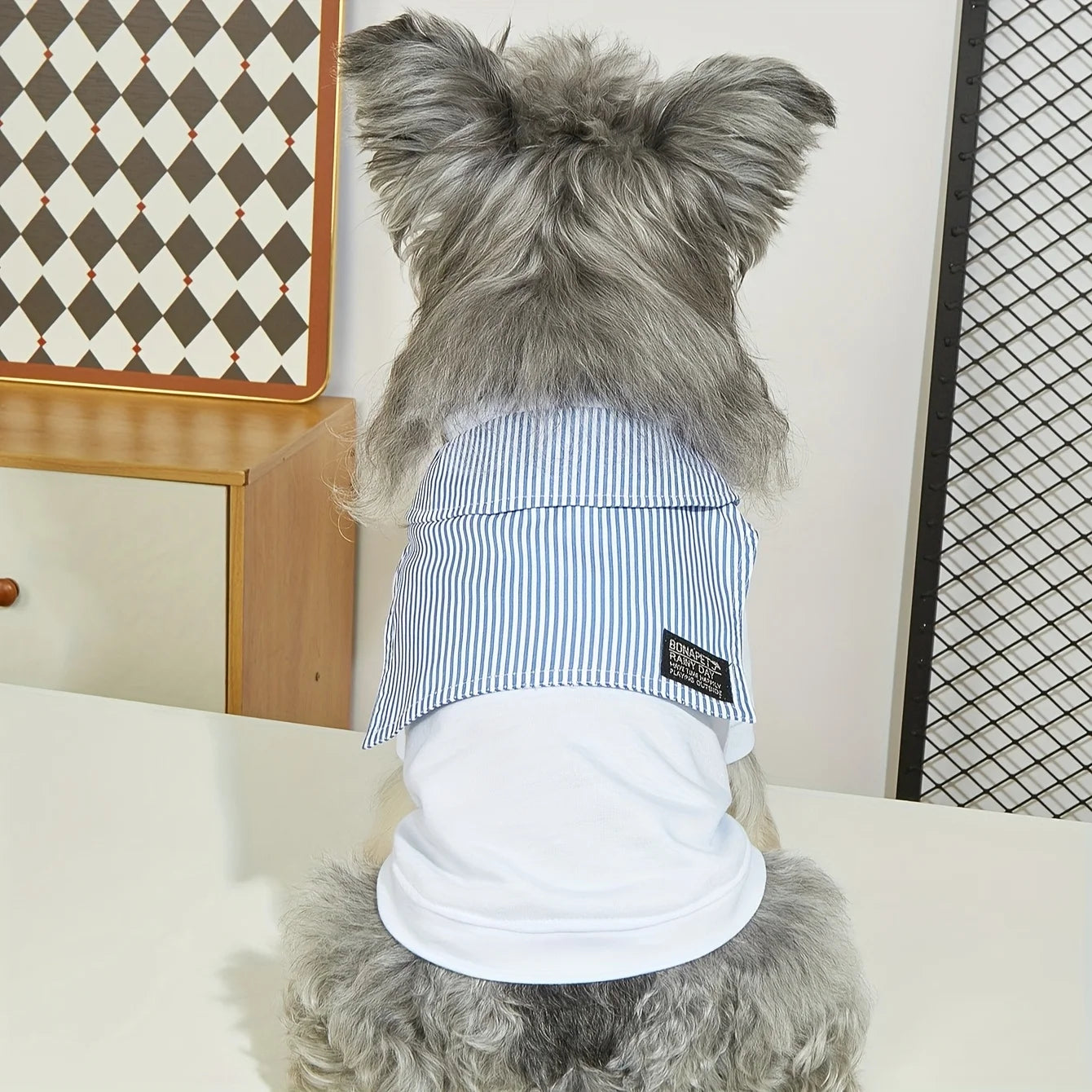 Summer Dog T-Shirt – Lightweight, Breathable Pet Shirt for Small & Medium Dogs