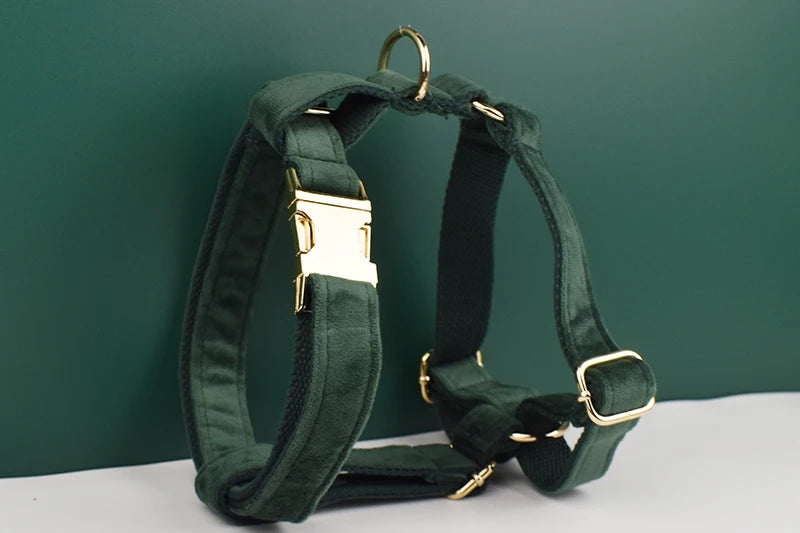 Velvet Personalized Dog Collar, Leash & Harness Set