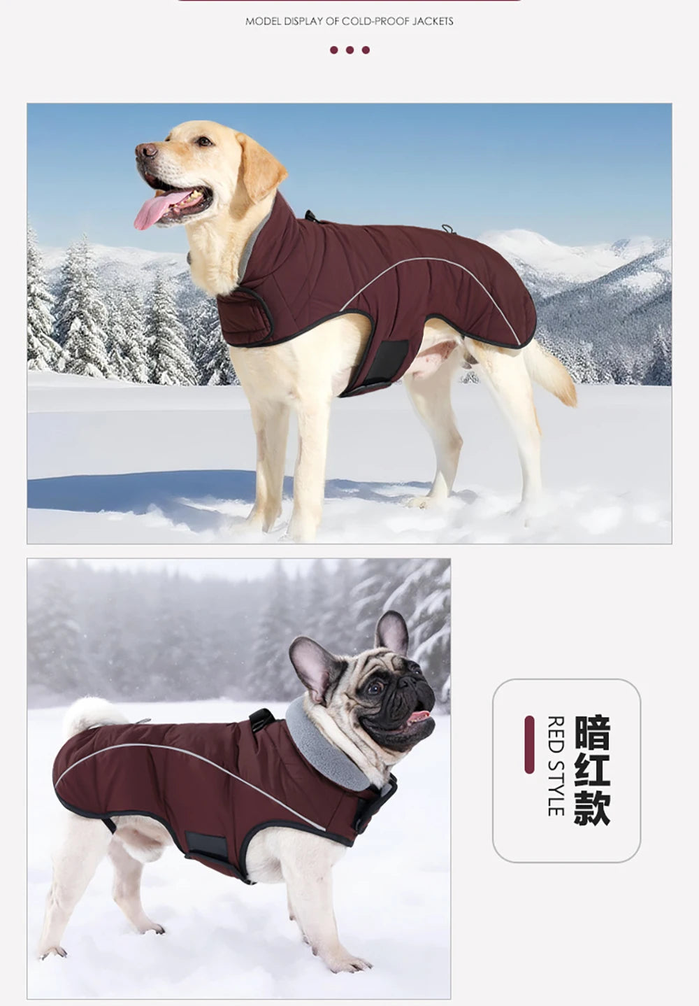 Waterproof Warm Dog Winter Jacket – Reflective Outdoor Cotton Coat for Medium & Large Dogs