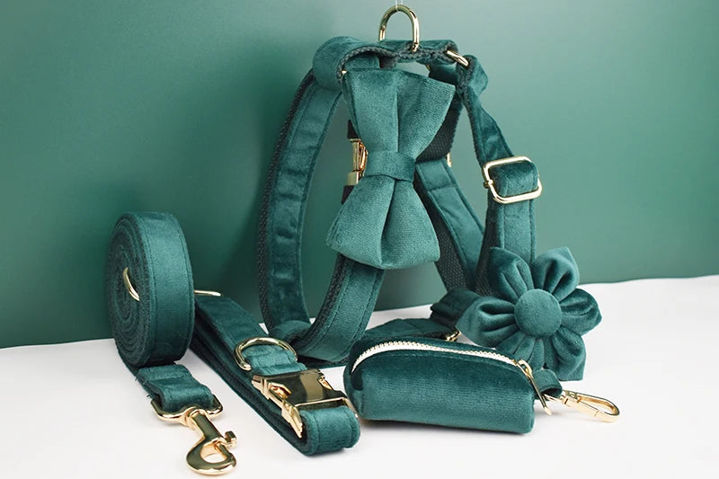 Green Velvet Personalized Dog Collar, Leash & Harness Set
